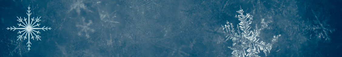 Seasonal offer background